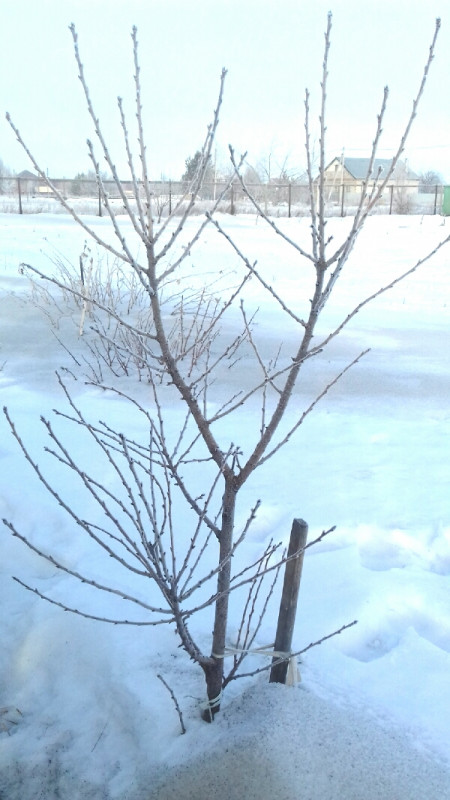 20200221_150419.jpg