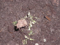 DSCN4954.JPG