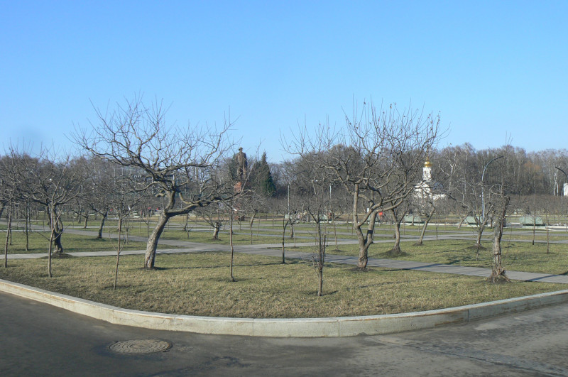 P1480942.JPG