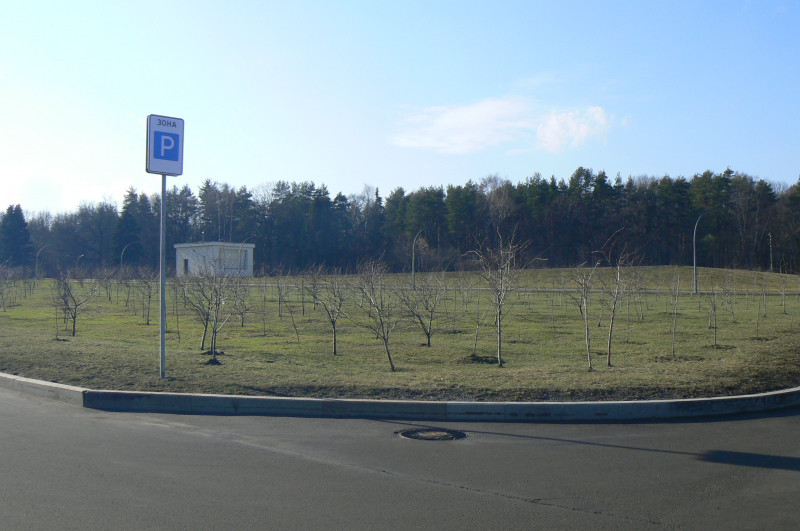 P1480944.JPG