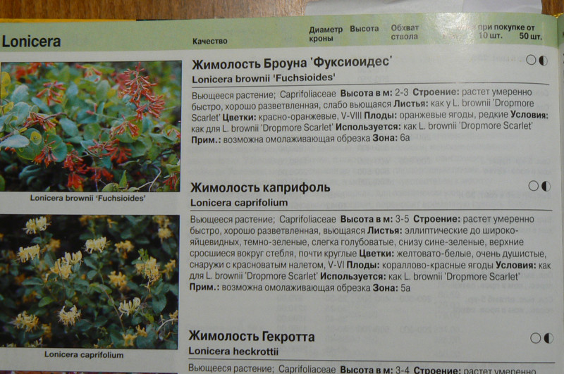 P1490006.JPG
