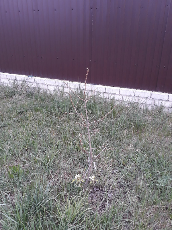 20190428_052723.jpg