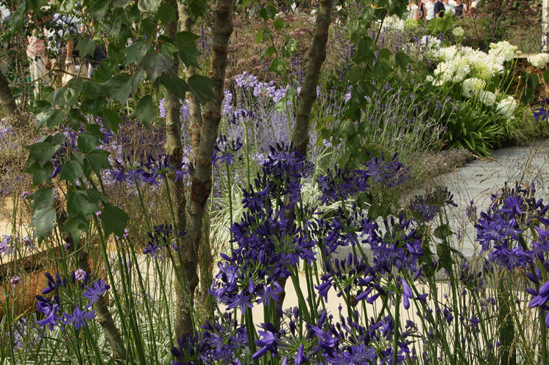 1317075_original.gif
