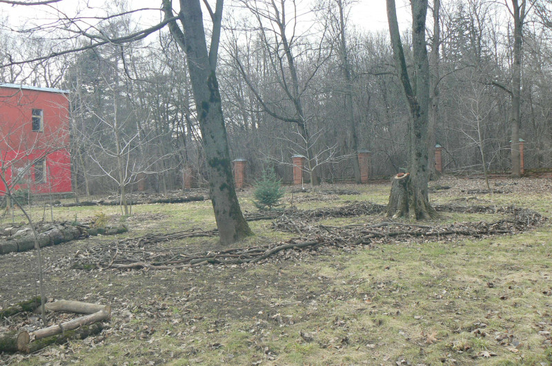 P1490340.JPG