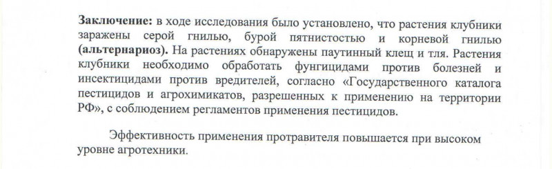 болезнь 2.jpg