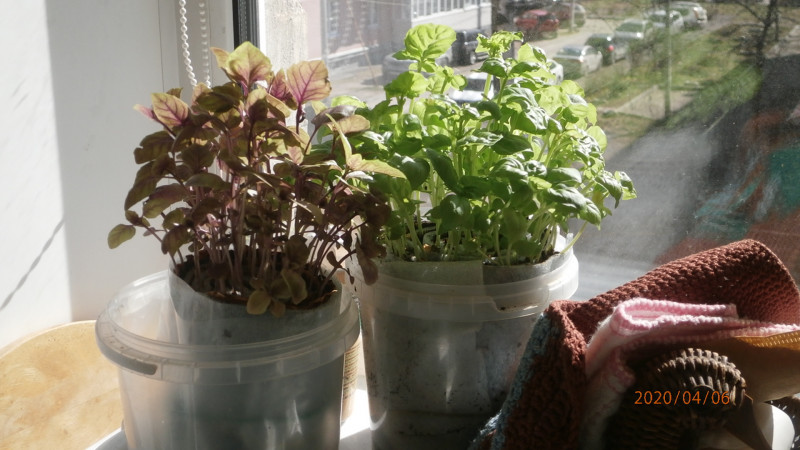P4064776.JPG