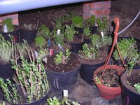 DSCN4960.JPG