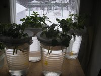 DSCN4961.JPG