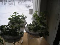 DSCN4962.JPG