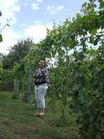 DSCF2896.JPG
