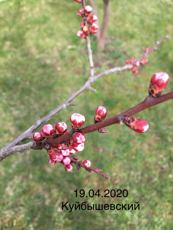 7F1640AE-1F25-47B3-A7A8-E8BF3174E719.jpeg
