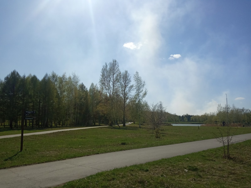 IMG_20200425_151220.jpg