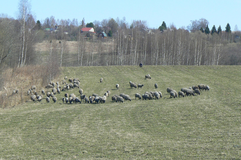 P1490986.JPG