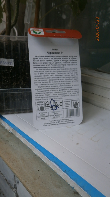 P4284895.JPG