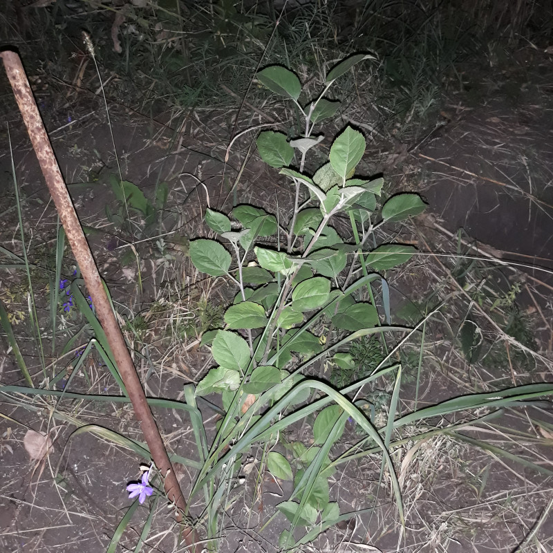 20190906_222406 106_13.jpg