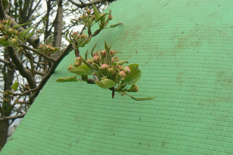 P1500284.JPG