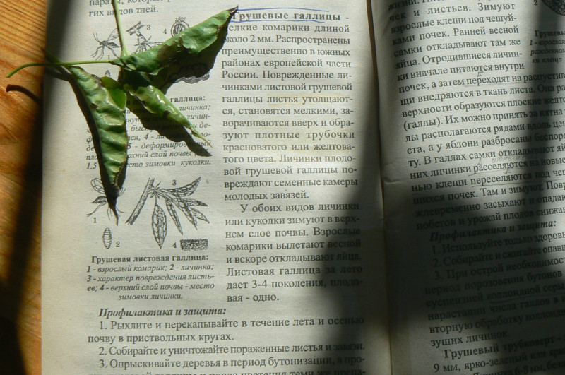 P1430499.JPG