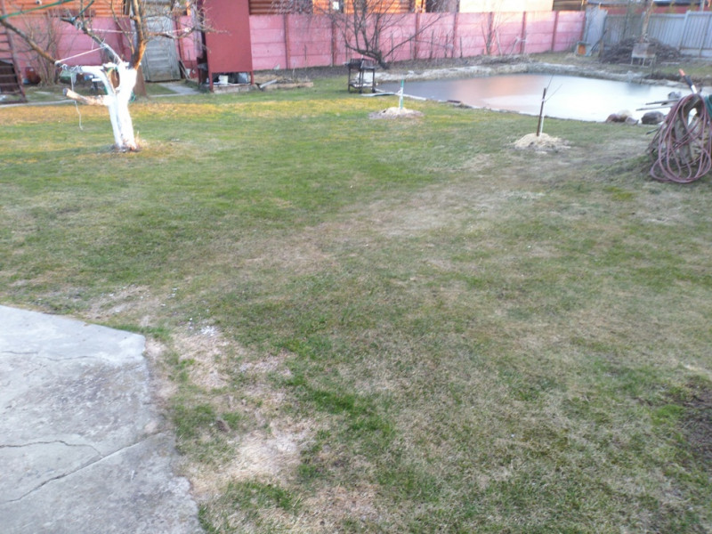 IMG_20200317_174439.jpg