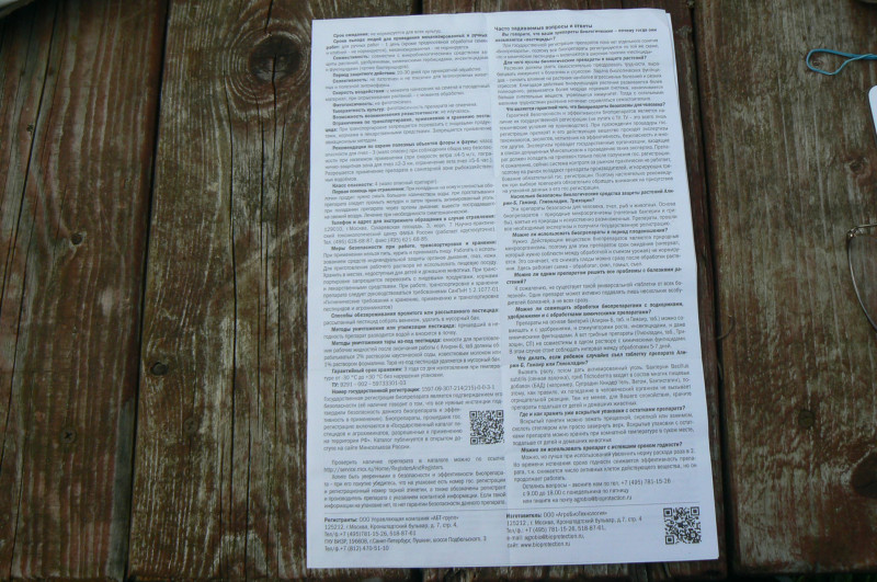 P1370399.JPG