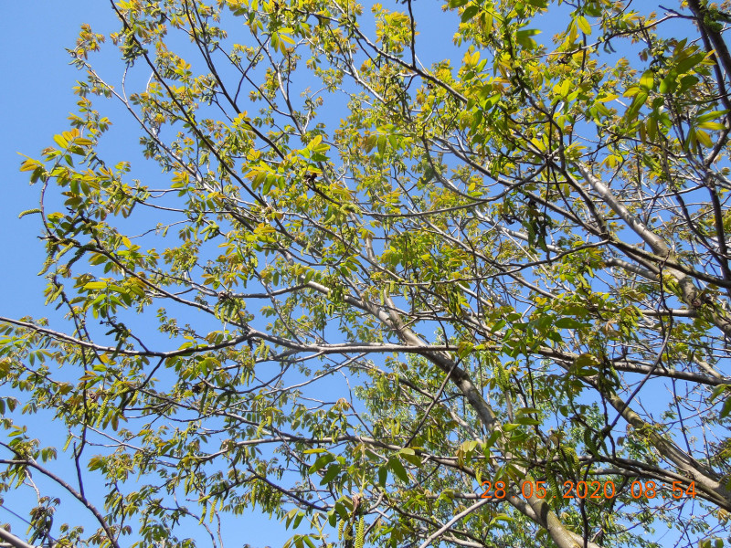 DSCN8623.JPG