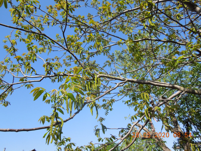 DSCN8624.JPG