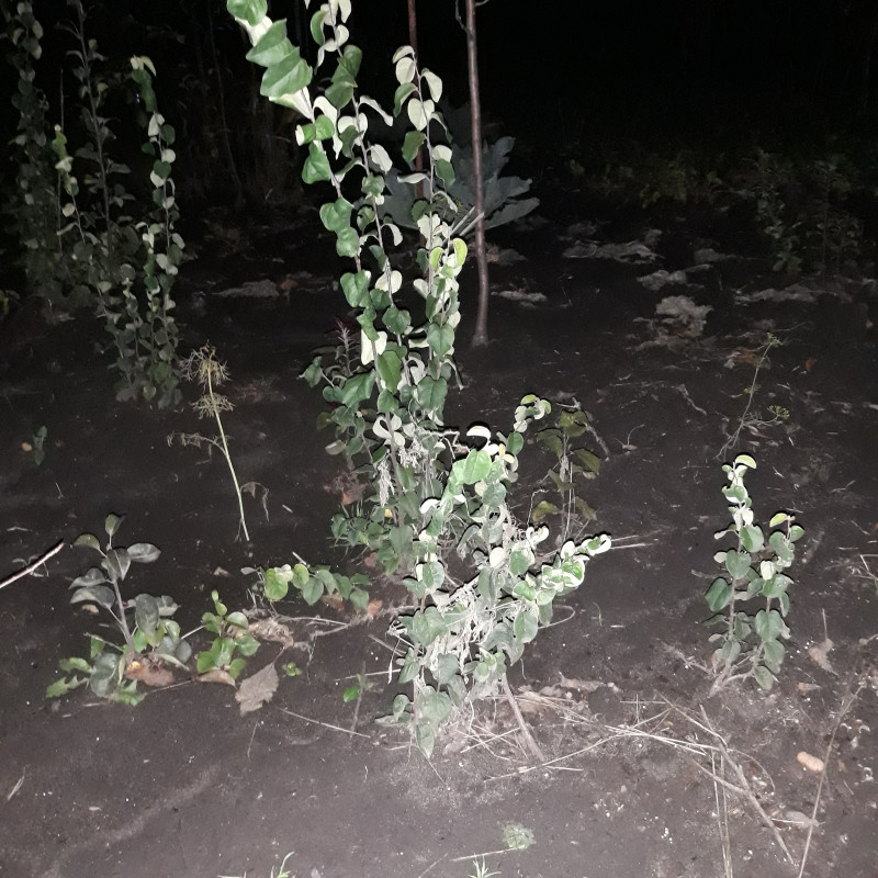 20191011_223824.jpg