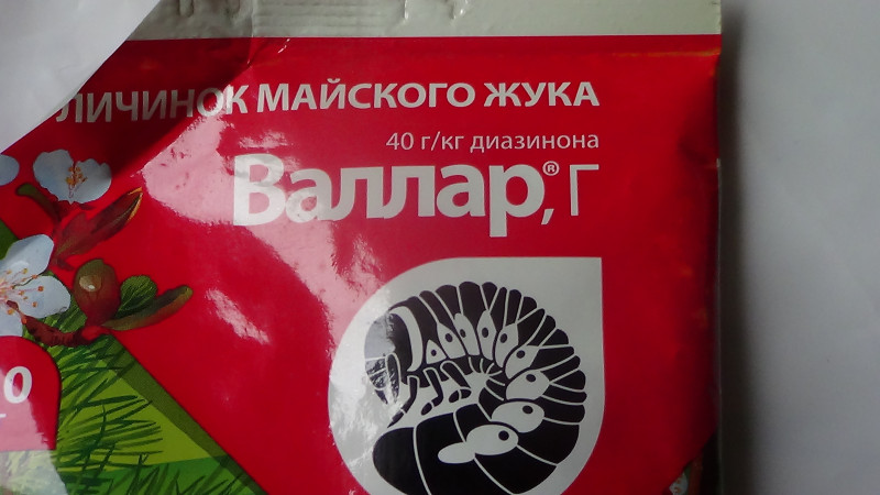 DSC02392.JPG