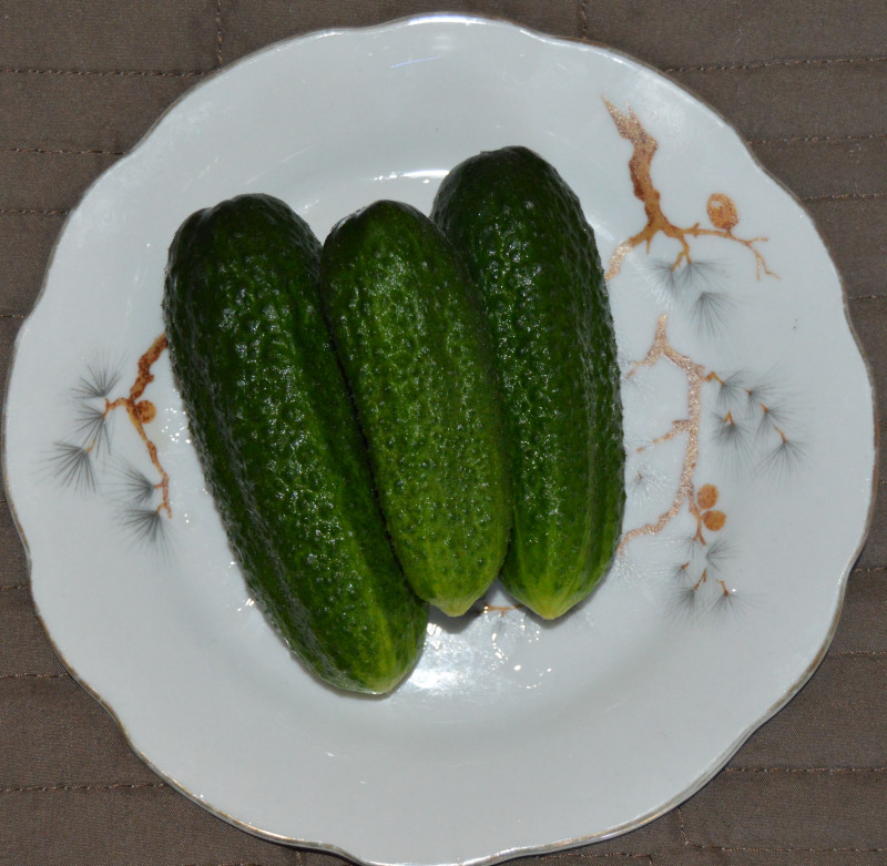 DSC_0518.jpg