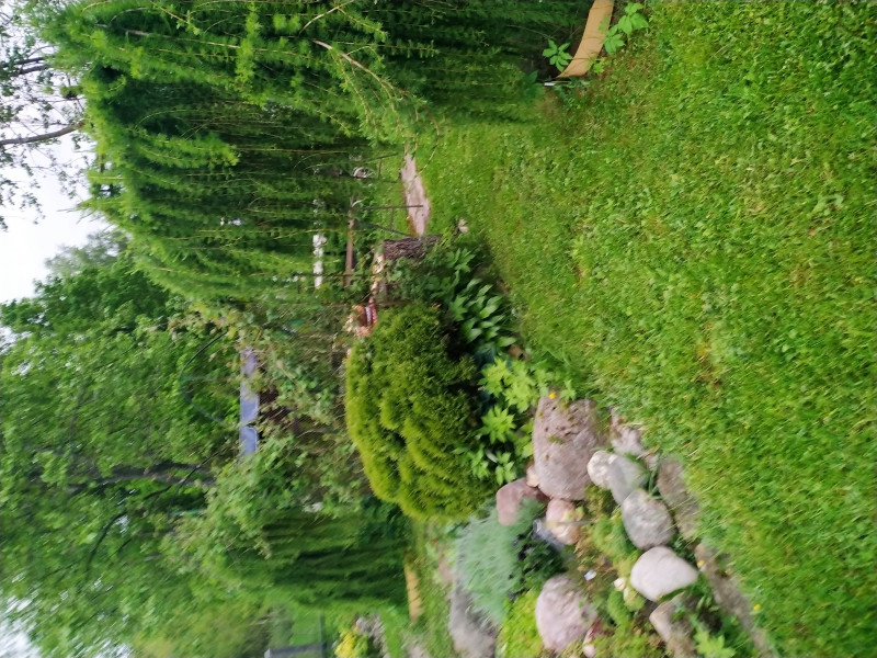 IMG_20200602_210139.jpg