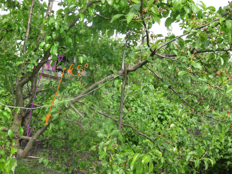 IMG_9068.JPG