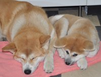 DSC_0093.JPG