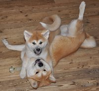 DSC_0109-2.JPG