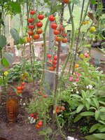 Детская радость (макушки).jpg
