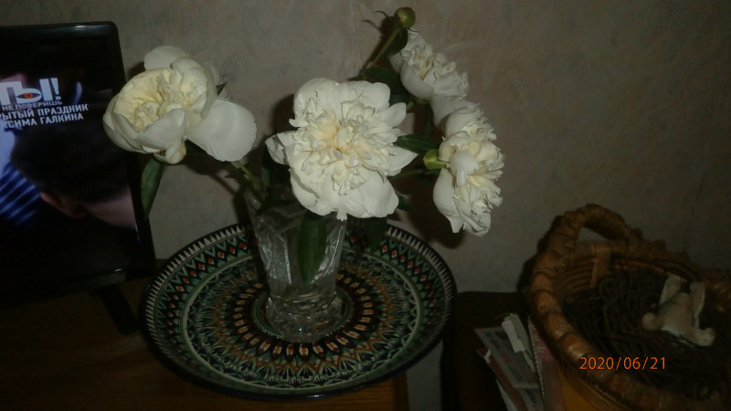 P6215100.JPG