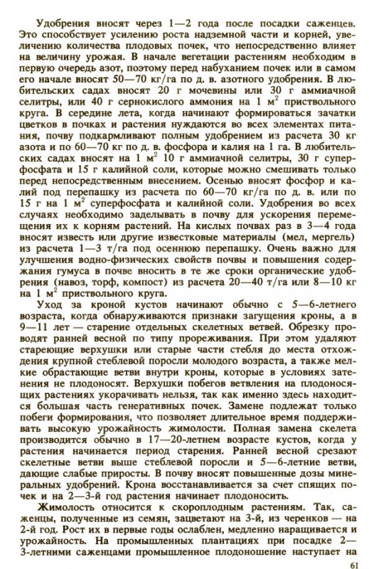 haskap.jpg