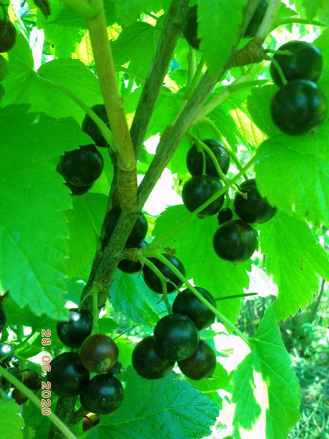PIC_1283.JPG