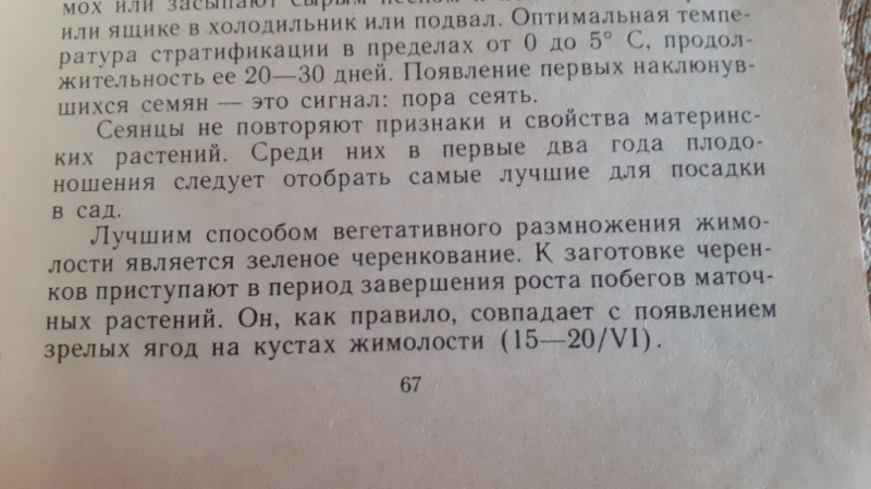 20200702_191301.jpg