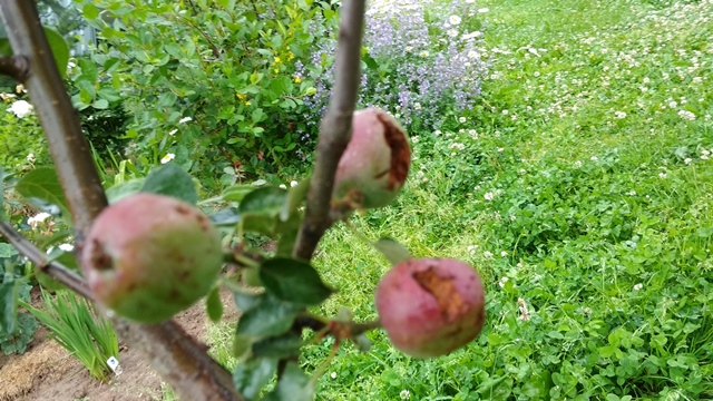 IMG_20200703_173845.jpg
