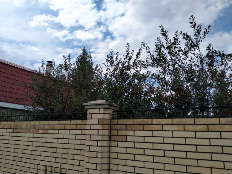 IMG20200705154933.jpg