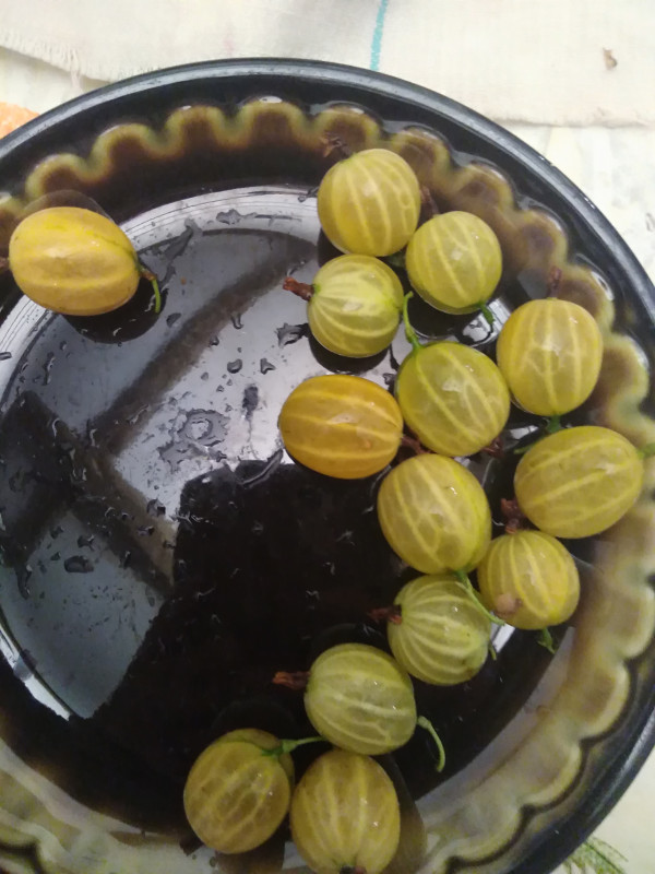 Яровой