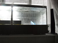 CIMG1128.JPG