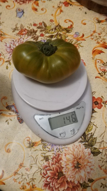 34.jpeg