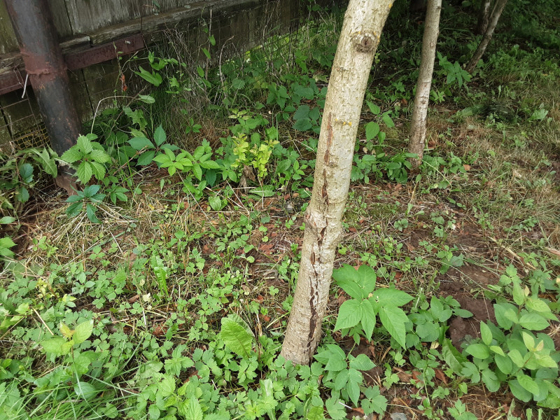 20200708_100942.jpg