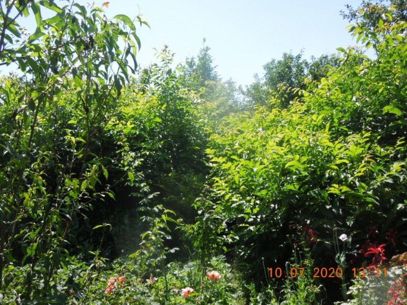 DSCN5680.JPG