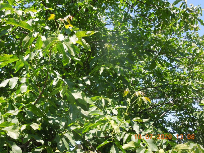 DSCN5677.JPG