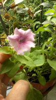2013-06-09-495.jpg