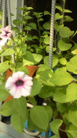 2013-06-09-500.jpg