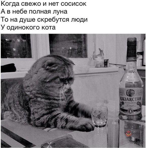 HaSGp9o-_Ss.jpg