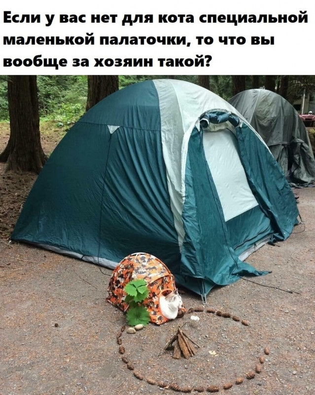 fonb2y7vYEU.jpg
