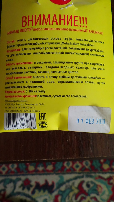 DSC02505.JPG